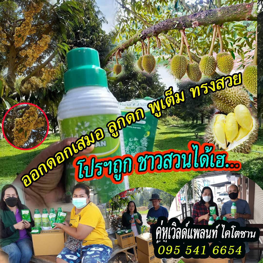 เวิลด์แพลนท์ สำนักงานใหญ่