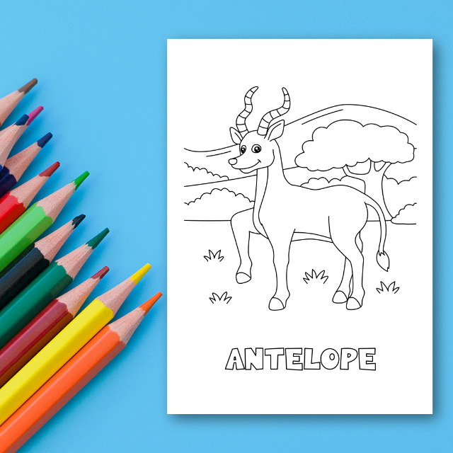 สมุดระบายสีสัตว์ป่า Safari Animals Coloring Book