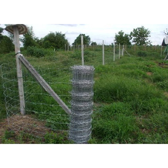 รั้วตาข่ายแรงดึงสูง ยาว50เมตร ความสูง1.2เมตร ป้ายแดง(ราคารวมแวท)ลวดล้อมคอกสัตว์ วัว แพะ ตาข่ายลวดเหล็ก {0102102602}