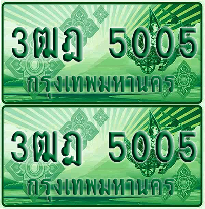 ป้ายประมูล 5005 เลขรถ 3ฒฎ 5005 กระบะแคป (1)