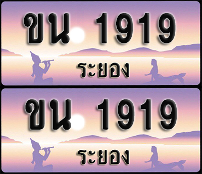 ทะเบียนรถ 1919 – ขน 1919 ระยอง (1)
