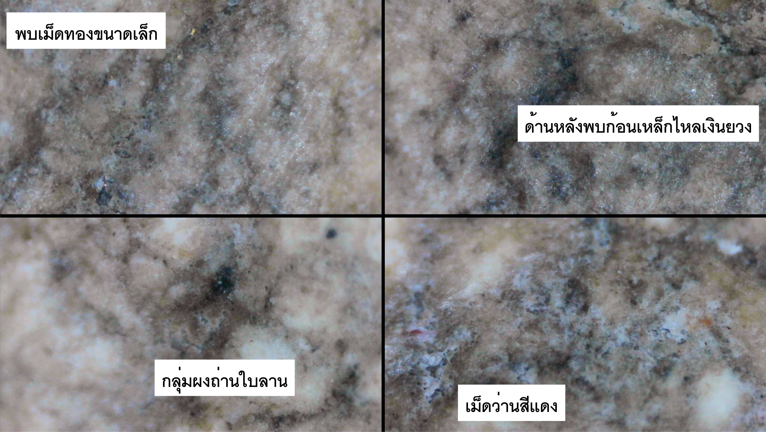 พระปิดตาพิมพ์จั๊กจั่น กรุวัดอัมพวา