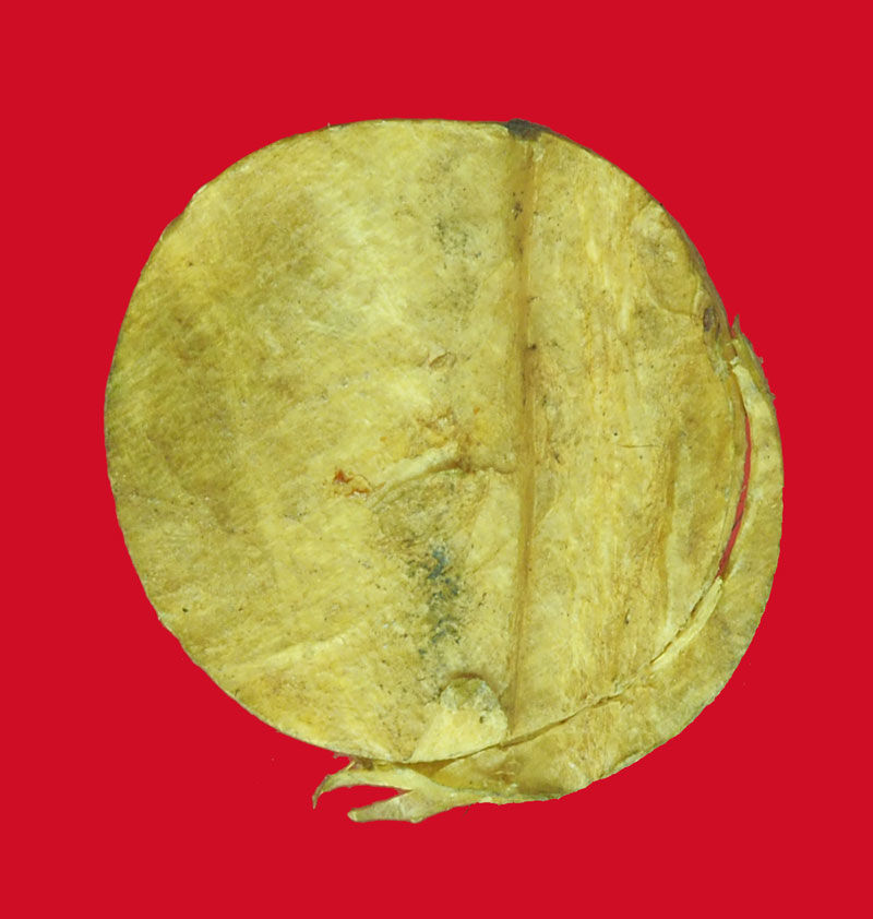 *32876 หนังเสือเก่าแห้ง ไม่ทราบอาจารย์ สันนิฐานว่าน่าจะหลุดมาจากตลับยาหม่อง 12