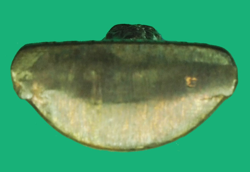 *37538 รูปหล่อปั้ม หลวงปู่เจ็ก วัดระนาม พร้อมกล่องเดิม เนื้อนวะแก่เงิน 82