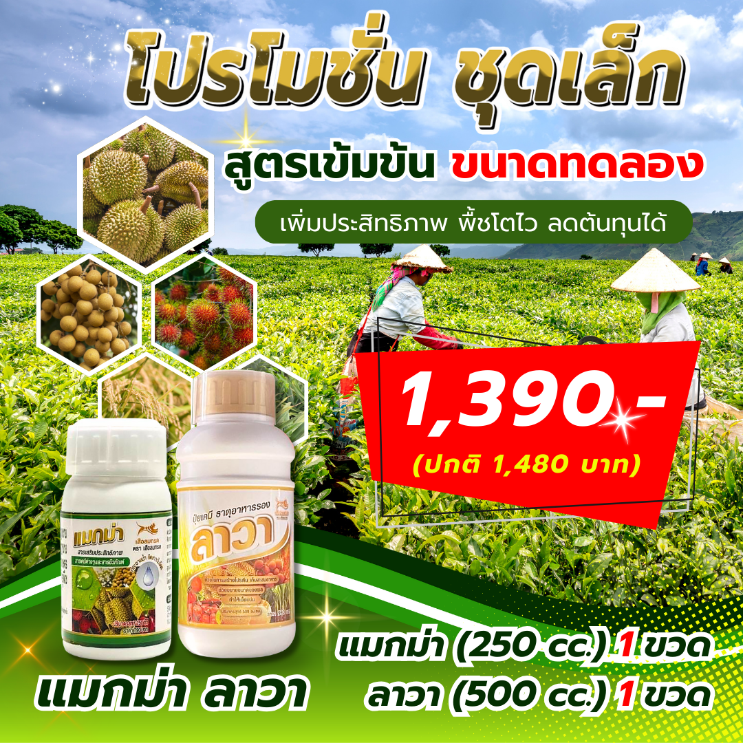 โปรโมชั่นชุดเล็ก แมกม่า250cc ลาวา500cc