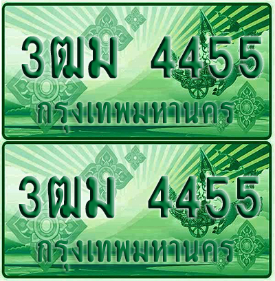 ป้ายประมูล 4455 เลขรถ 3ฒม 4455 กระบะแคป (4)