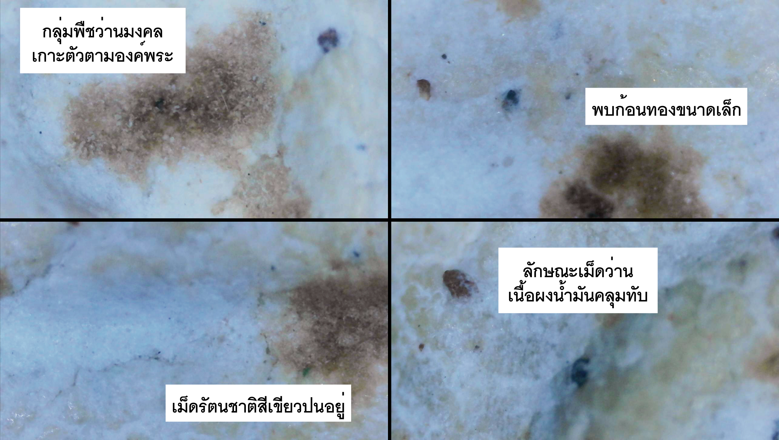 พระสมเด็จวัดประสาทบุญญาวาส พิมพ์คะแนน เนื้อผงน้ำมัน สีขาว ปี 2506