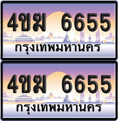 ทะเบียน 6655 ป้ายประมูล 4ขฆ 6655 (6)