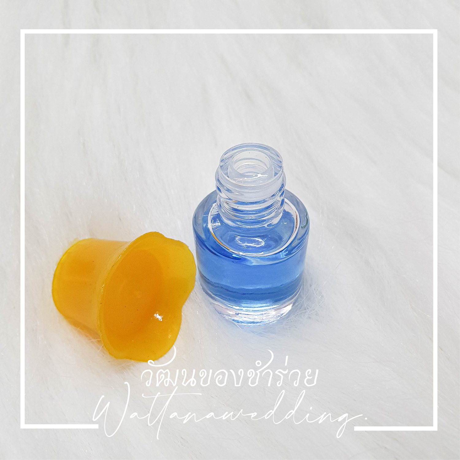 พิมเสนน้ำ (ฝากุหลาบ)