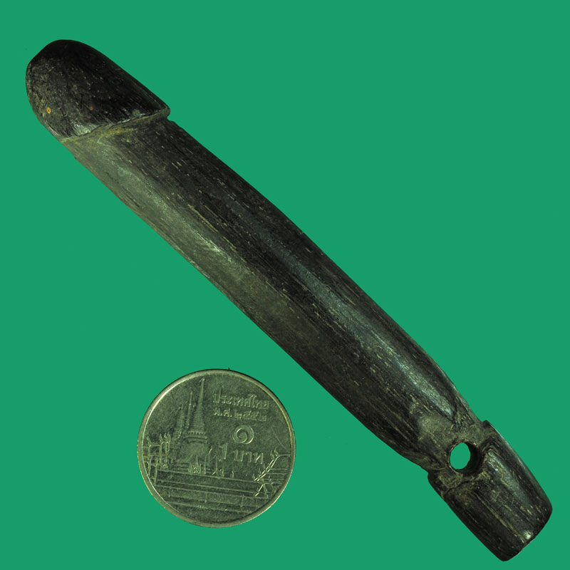 *33051 ปลัดขลิกไม้แกะเก่า ไม่ทราบที่ 12