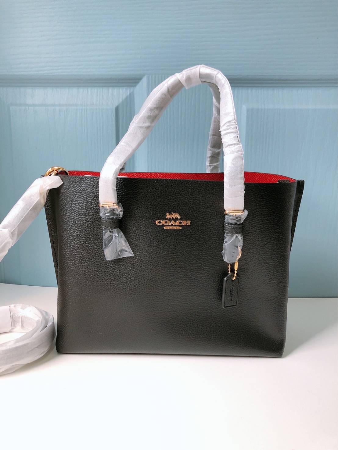 New Coach Mollie Tote 25