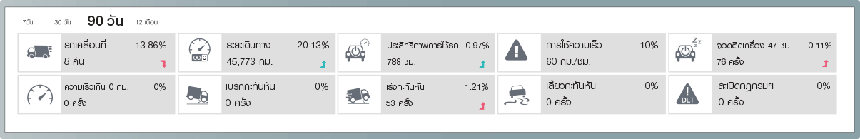 management-report