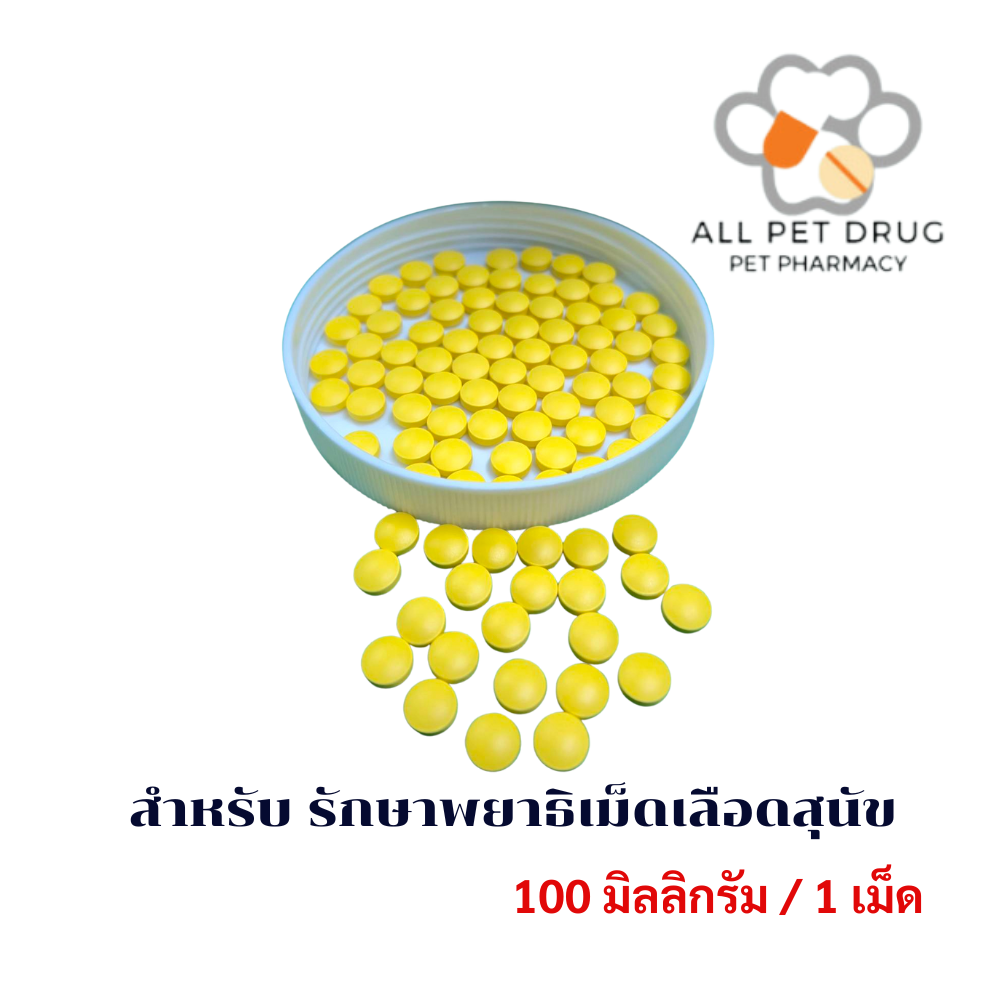 Doxycycline 100 mg สำหรับรักษา พยาธิเม็ดเลือดสุนัข