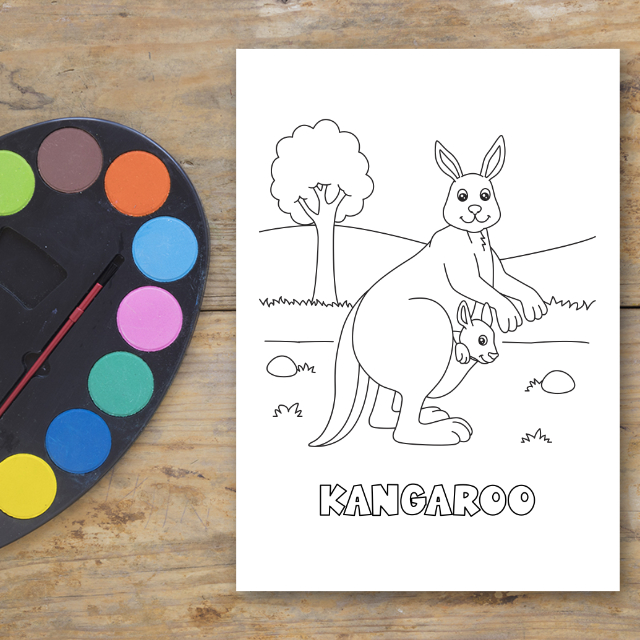 สมุดระบายสีสัตว์ป่า Wildlife Coloring Book