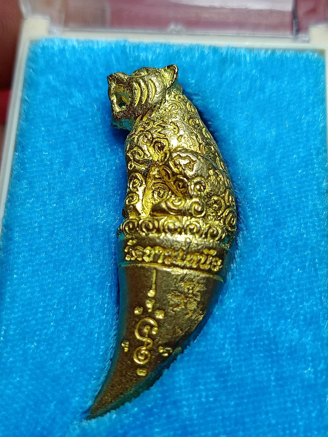 เขี้ยวเสือพุทธาคม หลวงพ่อหวล วัดชาวเหนือ จ.ราชบุรี ปี 2558 พร้อมกล่อง (SKU-10950)