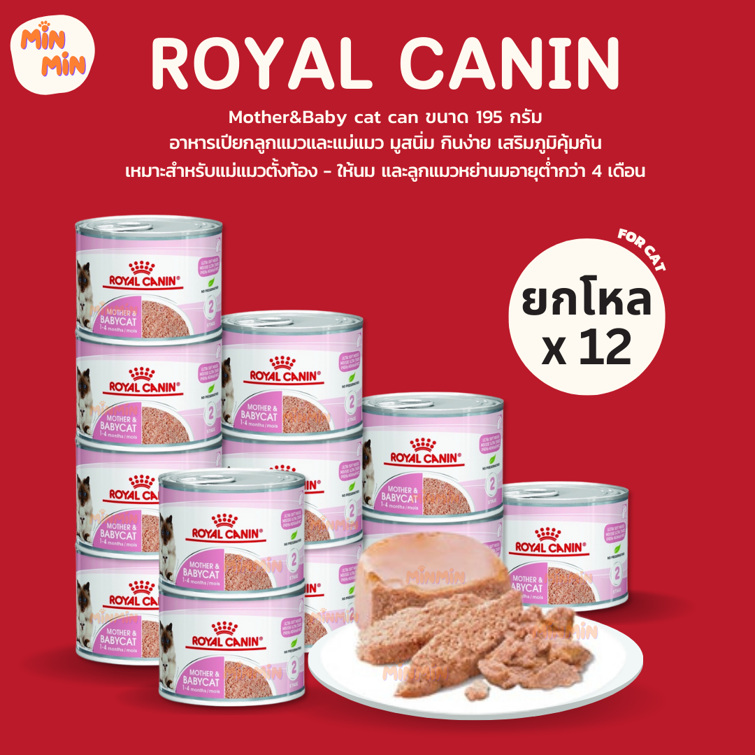 [ ยกโหล ] Royal Canin Starter Mother & Baby Cat Can อาหารเปียกแม่แมวตั้งท้อง-ให้นม และ ลูกแมว อายุต่ำกว่า 4 เดือน จำนวน 12 กระป๋อง