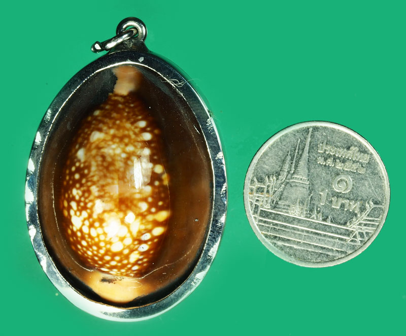 *35375 เบี้ยแก้เลี่ยมตลับสแตนเลส ไม่ทราบที่และปีสร้าง 12