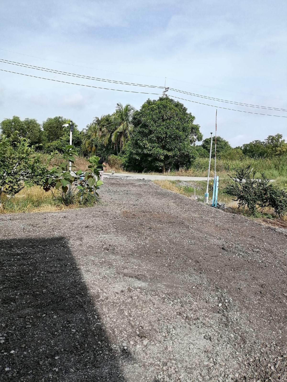 ขายที่ดินฉะเชิงเทรา 1 ไร่ 3 งาน | ติดถนน 60 ม. น้ำไม่ท่วม วิวสวย เจ้าของขายเอง