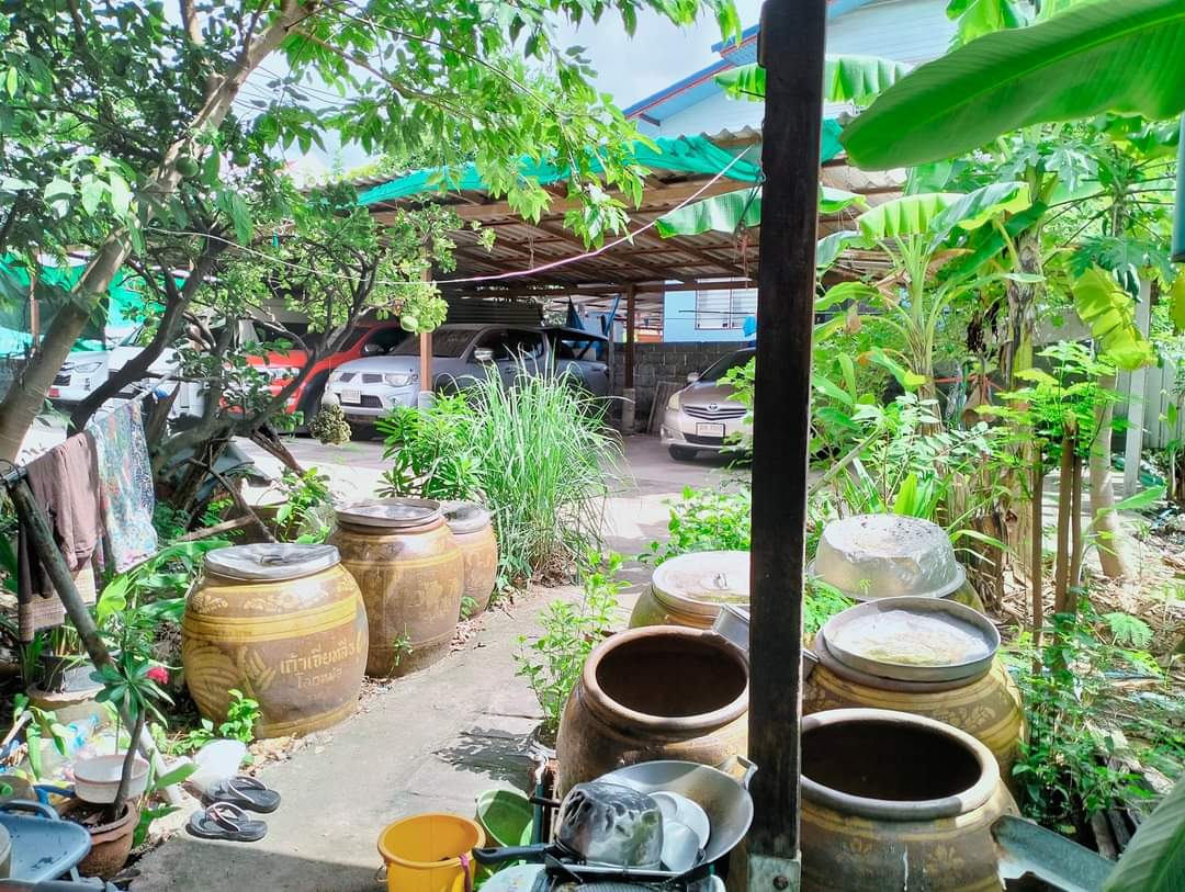 ที่ดินเปล่า ซ.หมู่บ้านอิ่มอัมพร ราชพฤกษ์