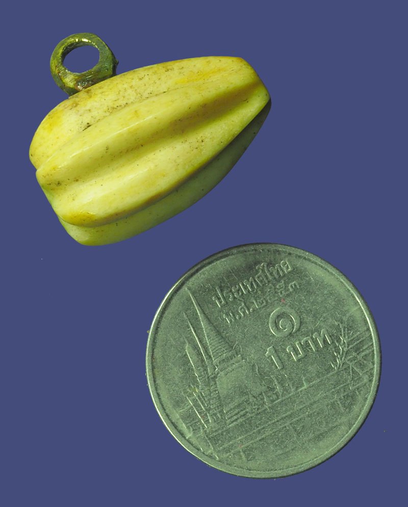 ขายแล้ว*39807 เครื่องราง เม็ดมะเฟื่องเเห้ง แกะเก่า ห่วงทองเหลืองทำมือ ไม่ทราบที่และปีสร้าง 12