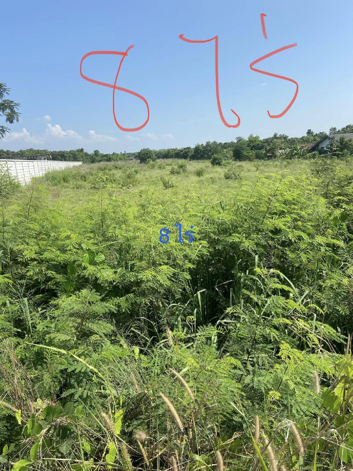 ขายที่ดิน 8 ไร่ แปลงยาว ฉะเชิงเทรา | หน้ากว้าง 55 ม. ติดถนนลาดยาง | เจ้าของขายเอง