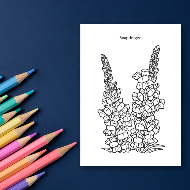 สมุดระบายสีดอกไม้ Relaxing Flowers Coloring Book