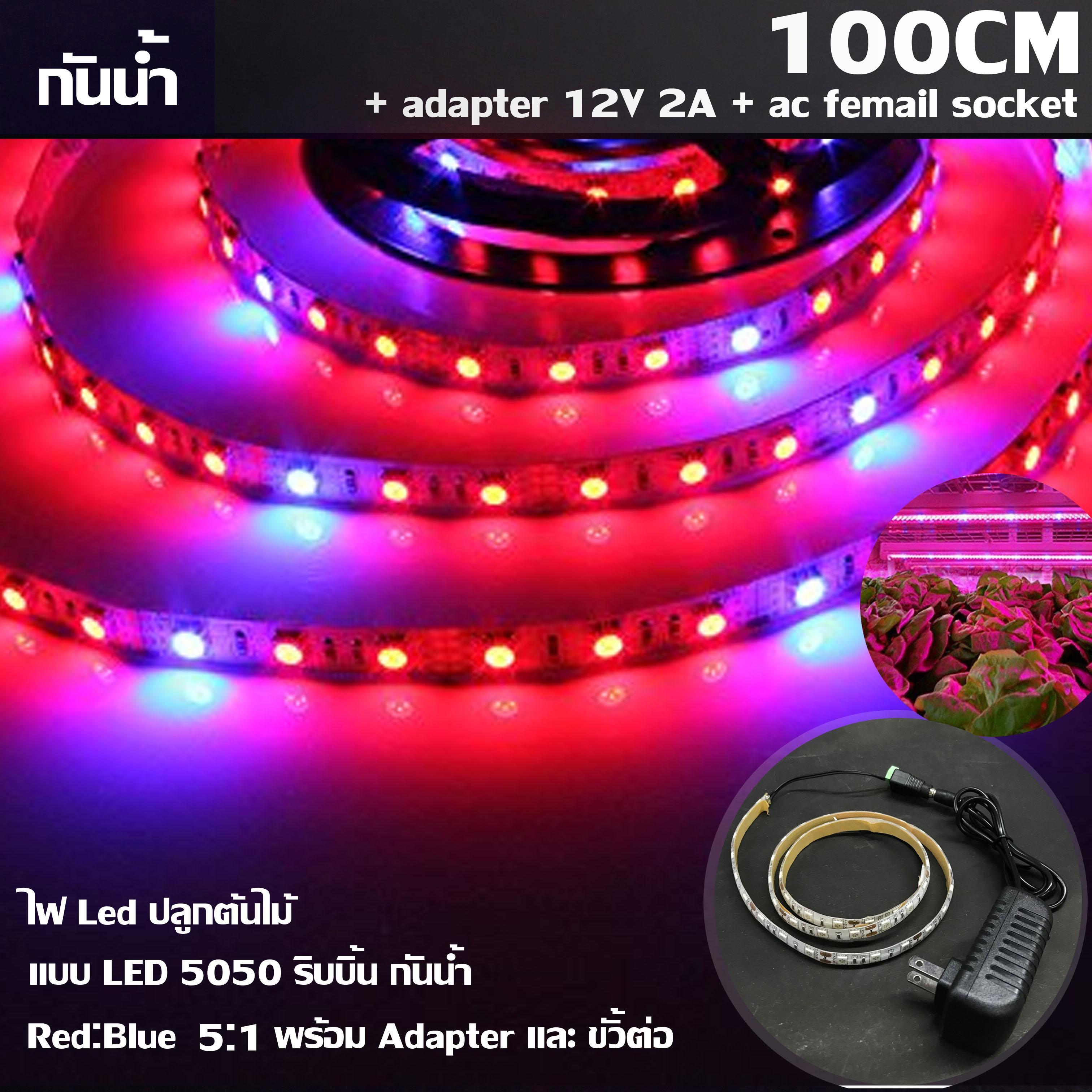 MJ-tech ไฟ Led ปลูกต้นไม้ แบบ LED 5050 ริบบิ้น กันน้ำ ยาว 100 cm สัดส่วน Red:Blue 5 :1 พร้อม Adapter และ ขั้วต่อ