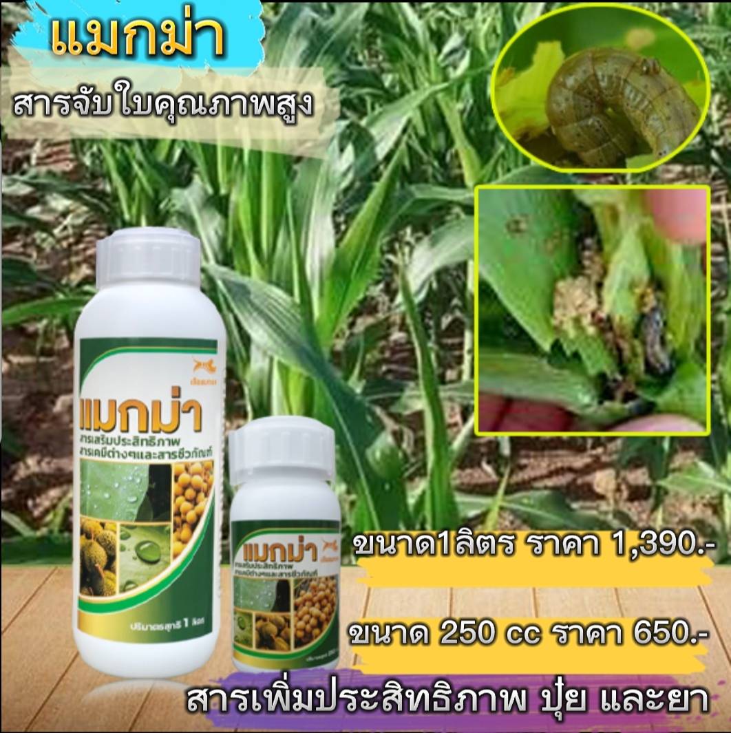 สารเสริมประสิทธิภาพ แมกม่า maxma 1ลิตร 2ขวด