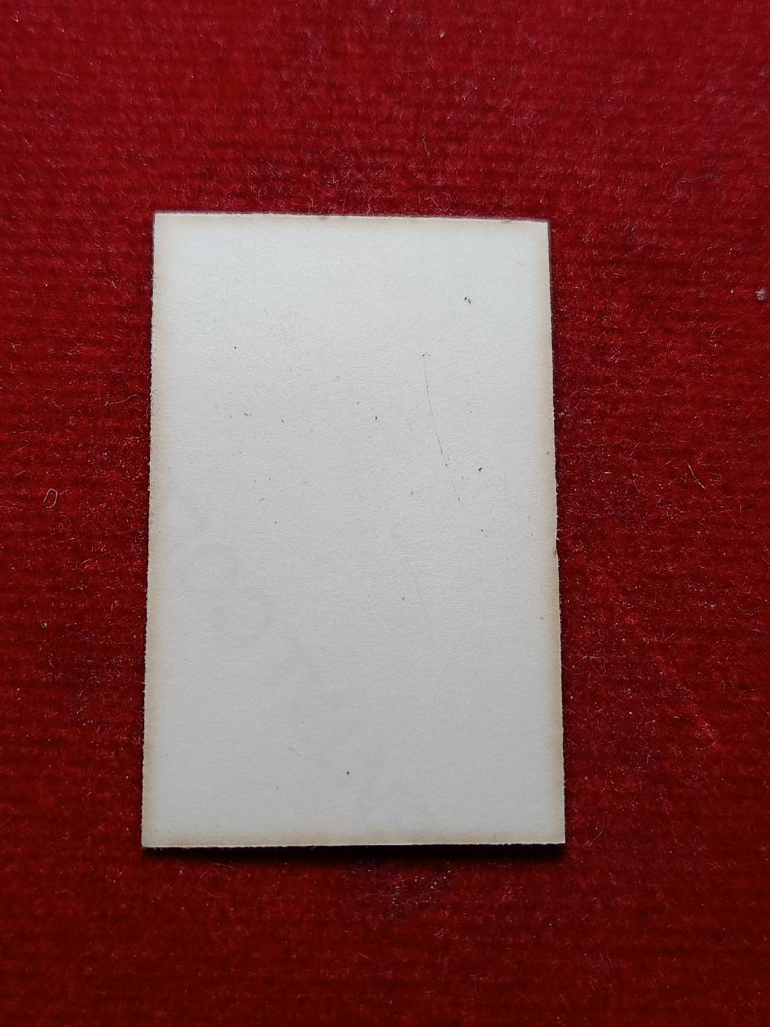 รูปหลวงพ่อชา สุภัทโท วัดหนองป่าพง จ.อุบลราชธานี (SKU-08705)