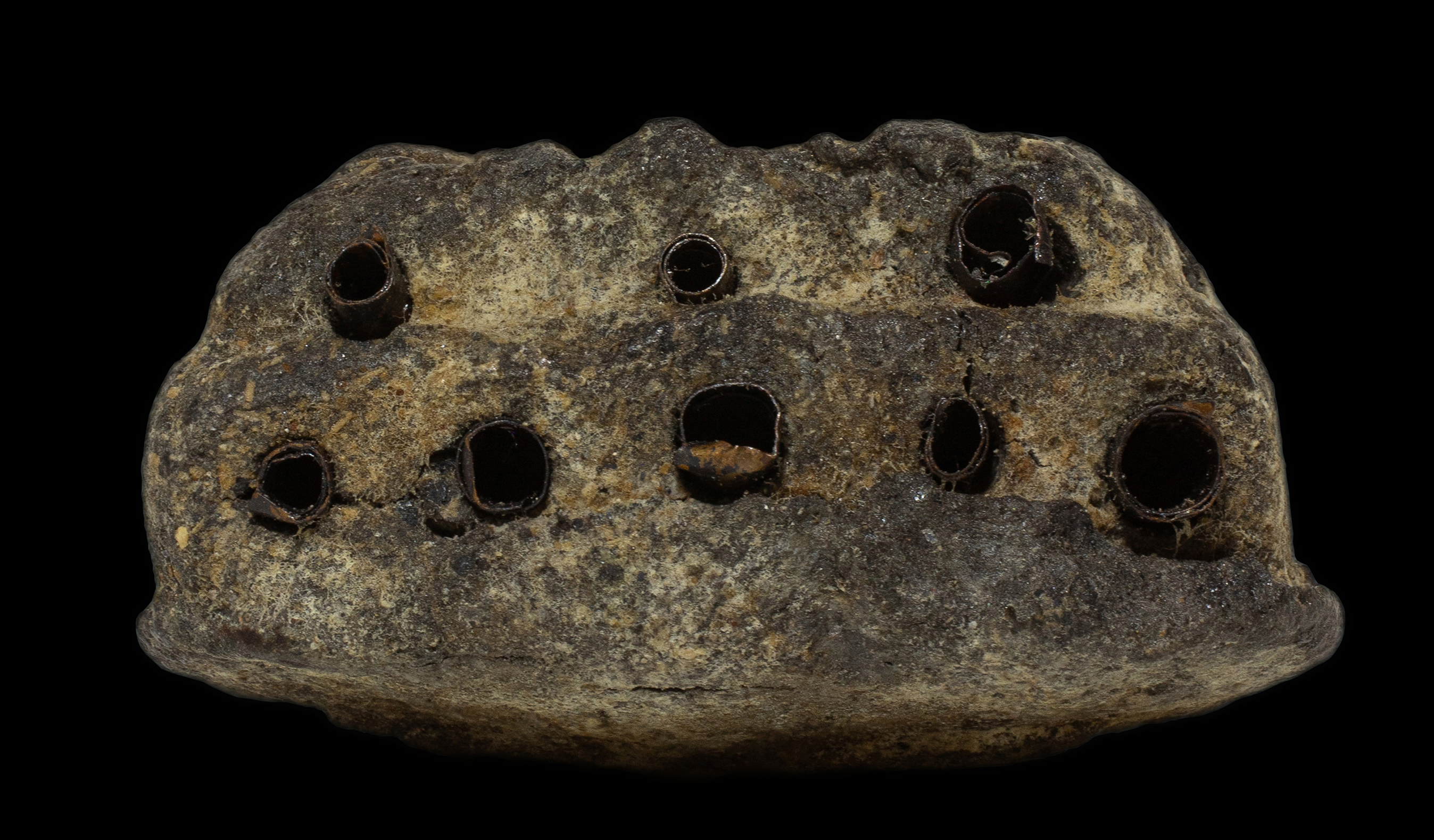 หลวงปู่ทวดเนื้อว่านหลังเจดีย์ รุ่นแจกกรรมการ ฝังตะกรุด 9 ดอก อาจารย์นองวัดทรายขาว ปลุกเสกพิธีใหญ่ ปี 2535