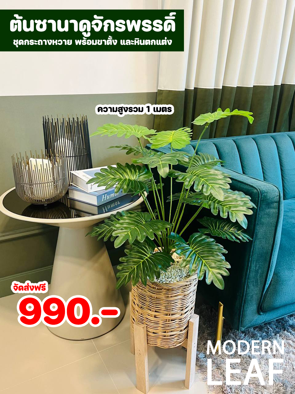 ต้นซานาดูจักรพรรดิ์ปลอม ความสูง 1 เมตร ชุดกระถางหวาย พร้อมขาตั้ง