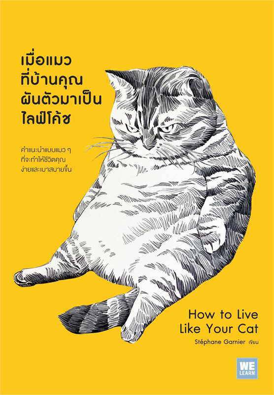 คำแนะนำแบบแมวๆ ที่จะทำให้ชีวิตคุณสบายขึ้น