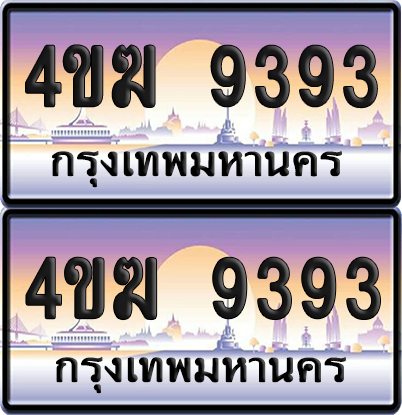 ทะเบียน 9393 ป้ายประมูล 4ขฆ 9393 (1)