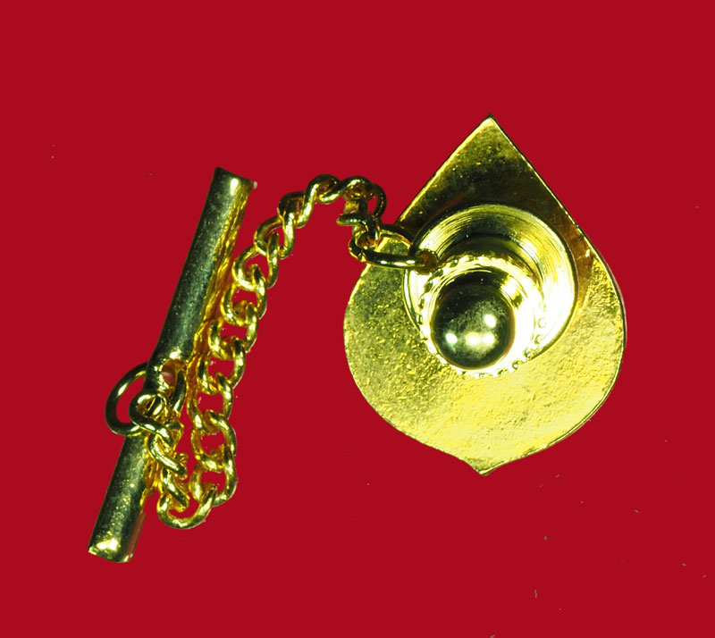 *31099 กลัดติดไทด์กระทรวงสาธารณสุข สมเด็จพระศรีนครินทราบรมราชชนนี กล่องเดิม 16