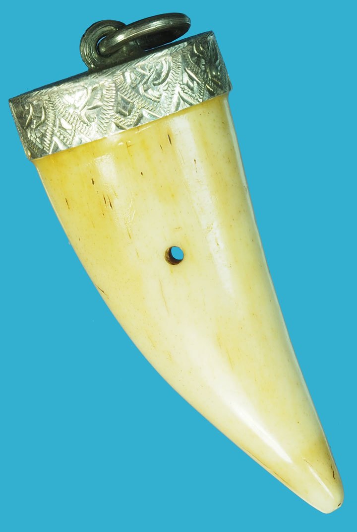 ขายแล้ว*37539 เขี้ยว เจาะบริเวณตรงกลาง เก่าพอมีอายุ เลี่ยมจับขอบเงิน 12