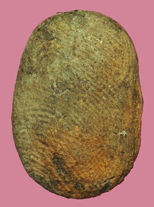 ขายแล้ว*37723 พระเม็ดบัวเนื้อดิน ลึกลับ เก่า ไม่ทราบที่ 3