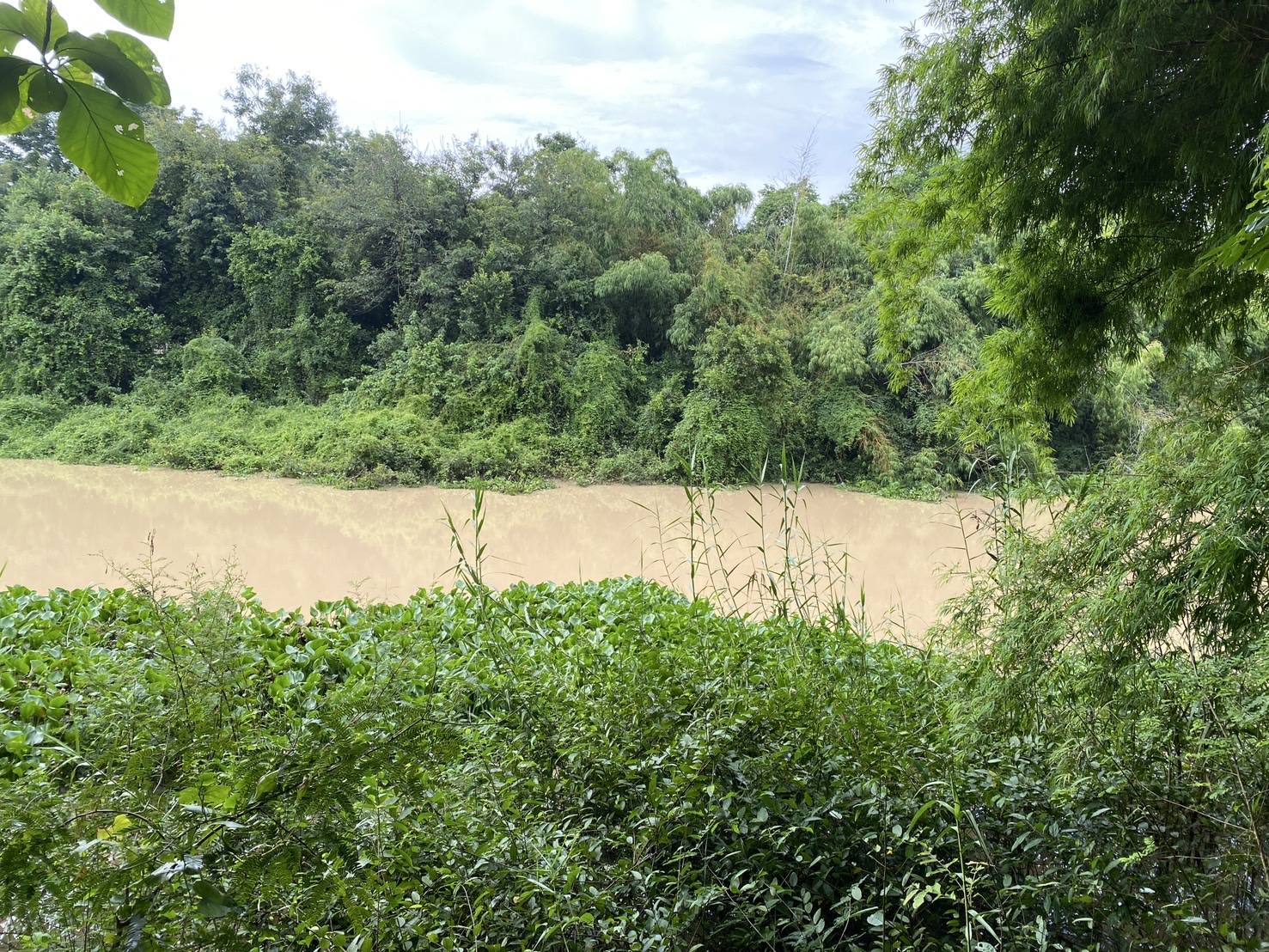 ขายที่ดินติดคลอง ราชสาส์น 3 ไร่ 1 งาน 40 ตรว. | เจ้าของขายเอง | ทำบ้านสวน ที่ดินฉะเชิงเทรา