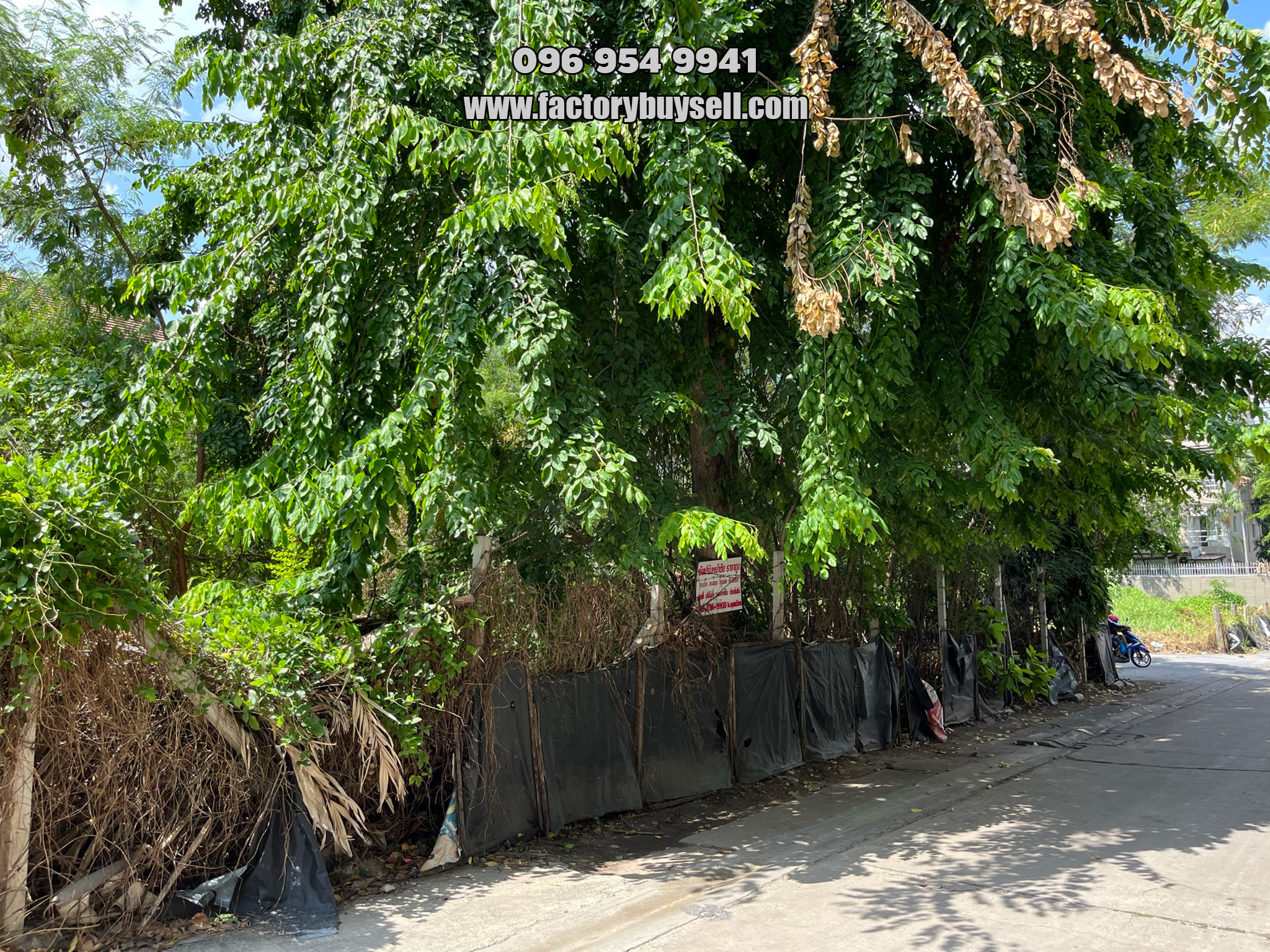 เช่าที่ดิน ซอยสุขุมวิท 62 แยก 8 (ที่ดินอยู่บริเวณหัวมุมตัดกับ ซอยสุขุมวิท 56) ขนาด 99 ตารางวา ใกล้ BTS บางจาก