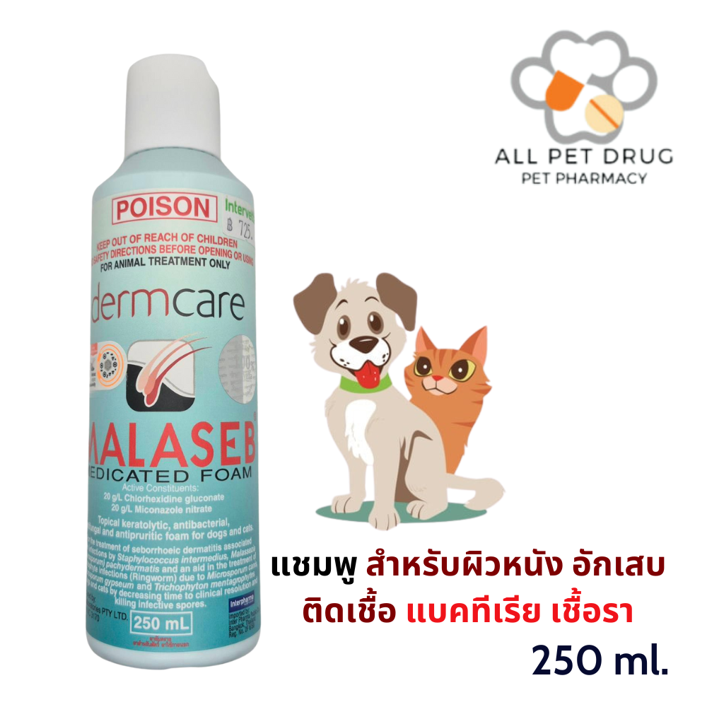 Malaseb Medicated foam 250ml แชมพู ผิวหนังอับเสบจากเชื้อแบคทีเรีย และ การติดเชื้อรา