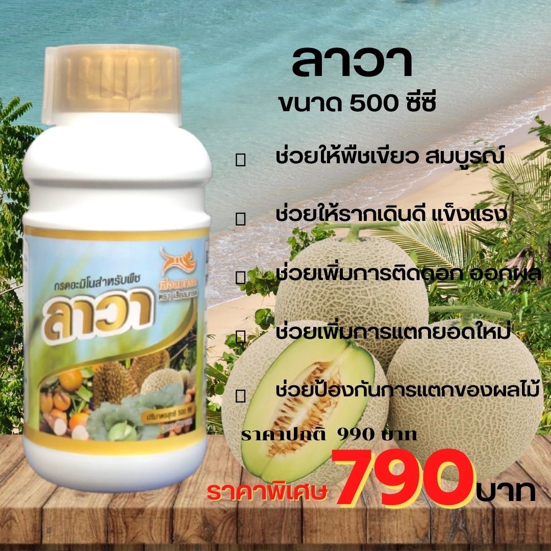 ปุ๋ยลาวา 1 ขวด บรรจุ 500 cc. มีธาตุอาหารพืชครบถ้วนช่วยเร่งโตไวใบเขียวเข้ม ช่วยแตกยอด แตกใบ ต้านต่อโรคพืชได้ดี