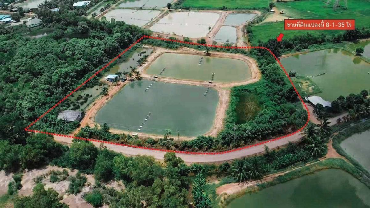 ขายที่ดิน ฉะเชิงเทรา ต.ปากน้ำ อ.บางคล้า 8 ไร่ 1 งาน 35 ตร.ว. ติดถนน-ติดคลอง