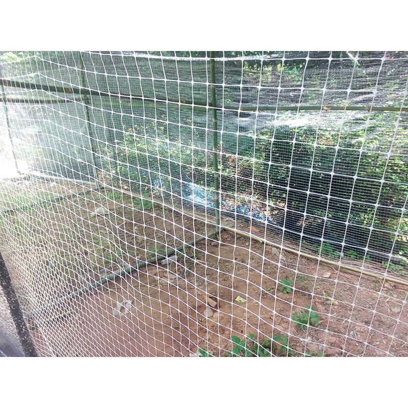 ตาข่ายเอ็นไก่ สี่เหลี่ยม ตา 3/4"x3/4" สีเทา-เงิน ตาข่ายล้อมไก่ ตาข่ายพลาสติก ไล่นกพิราบ ป้องกันนกพิราบ เอ็นล้อมกรงไก่