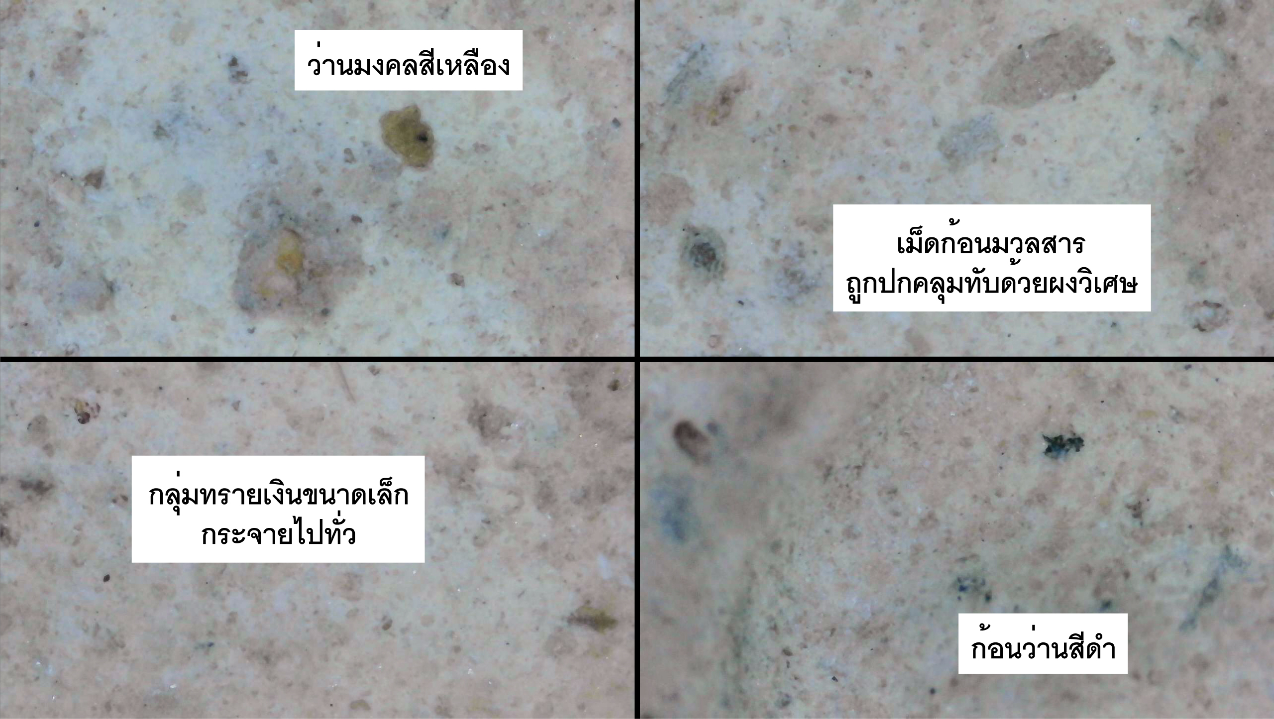 พระวัดปากน้ำรุ่นแรก (ตกค้าง)