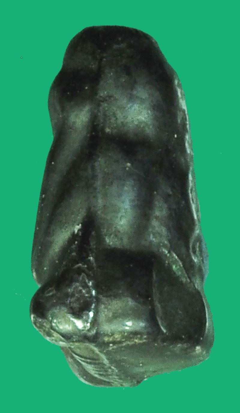 ขายแล้ว*39582 พระปิดตาหลังยันต์เฑาะ หลวงปู่ใจ วัดท่าเสด็จ สมุทธสาคร ปี 2472 เนื้อเมฆพัด 6