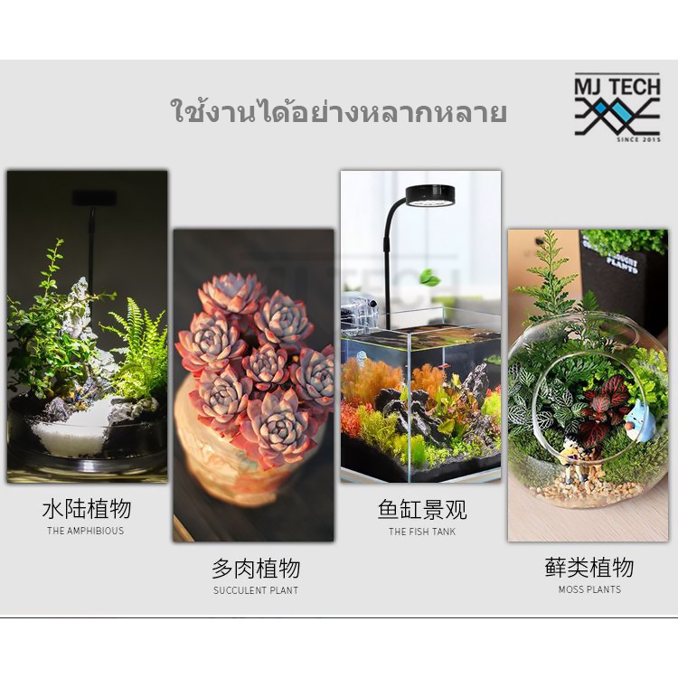 ไฟวาบิ LED พร้อมฐานไม้ (ไฟเลี้ยงตู้ปลา / แคคตัส / มาริโมะ / Wabu-Kusa / ไม้กึ่งบก / Terrarium / ตู้ไม้น้ำ)
