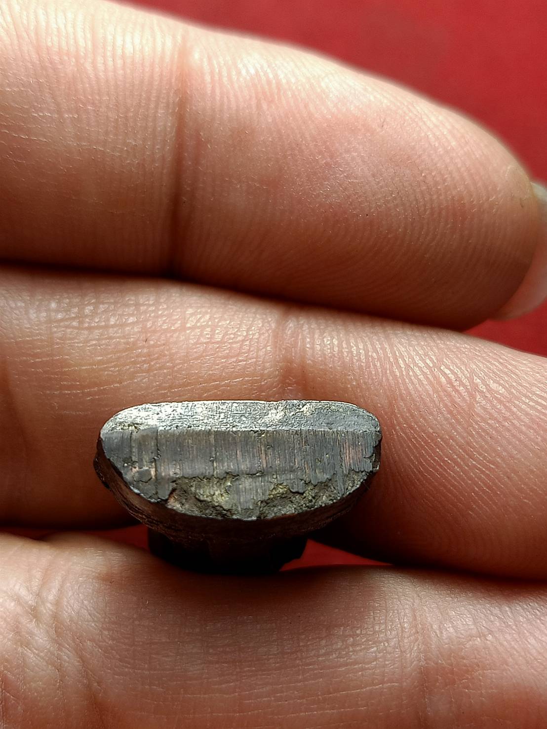 รูปหลวงปู่มัง เนื้อนวะ วัดเทพกุญชรวราราม จ.ลพบุรี (SKU-12889)