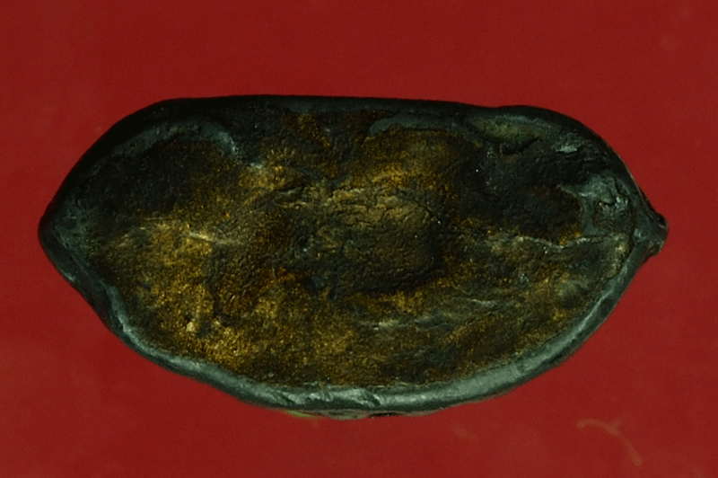 *27961 พระหล่อเนื้อชินตะกั่ว เก่าลงบรอนซ์ ไม่ทราบที่ 13