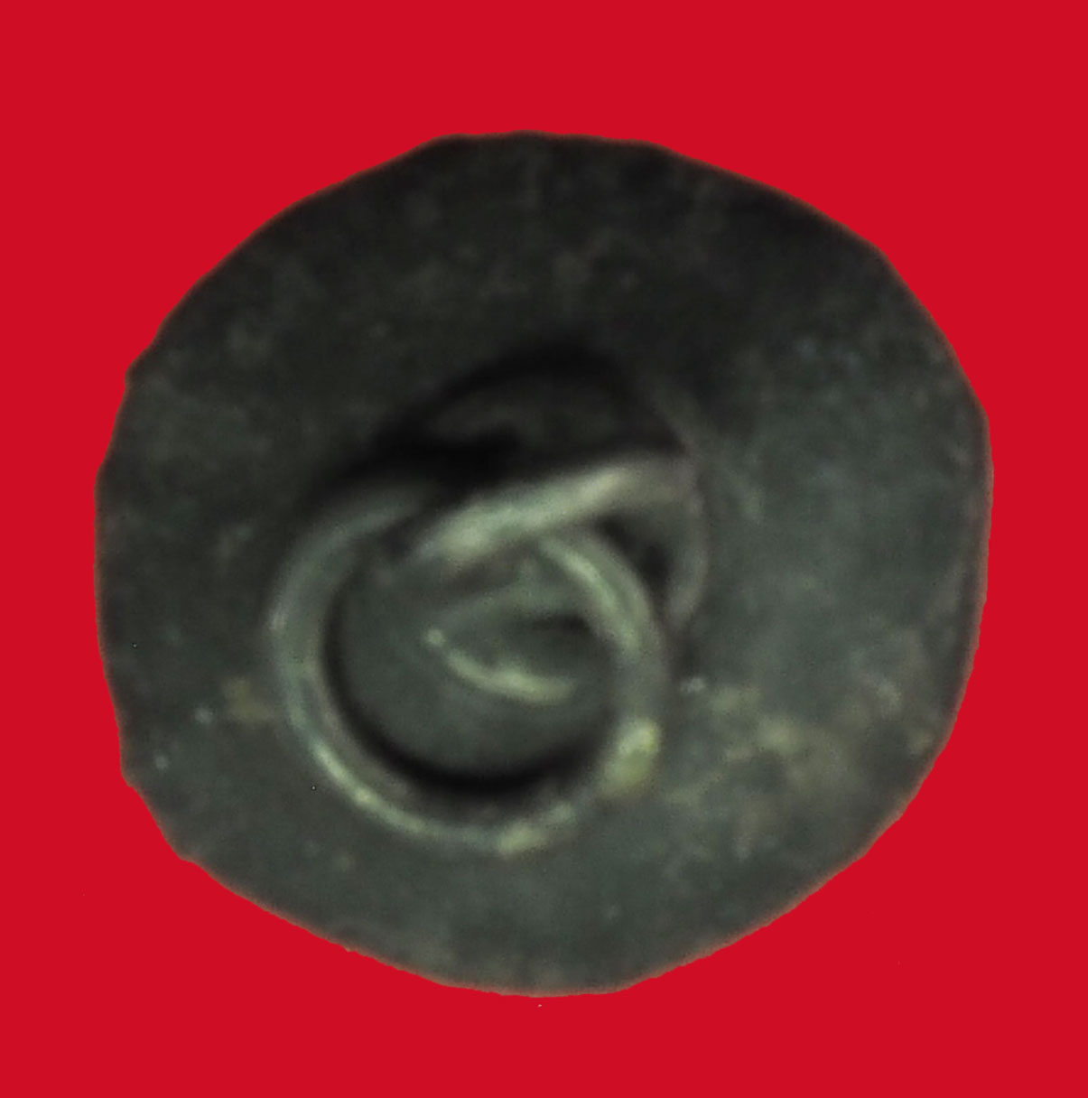 ขายแล้ว*33252 เม็ดพริกคหบดี หลวงพ่ออี๋ วัดสัตหีบ สุดยอดมหาเสน่ห์.. เนื้อเงิน 12