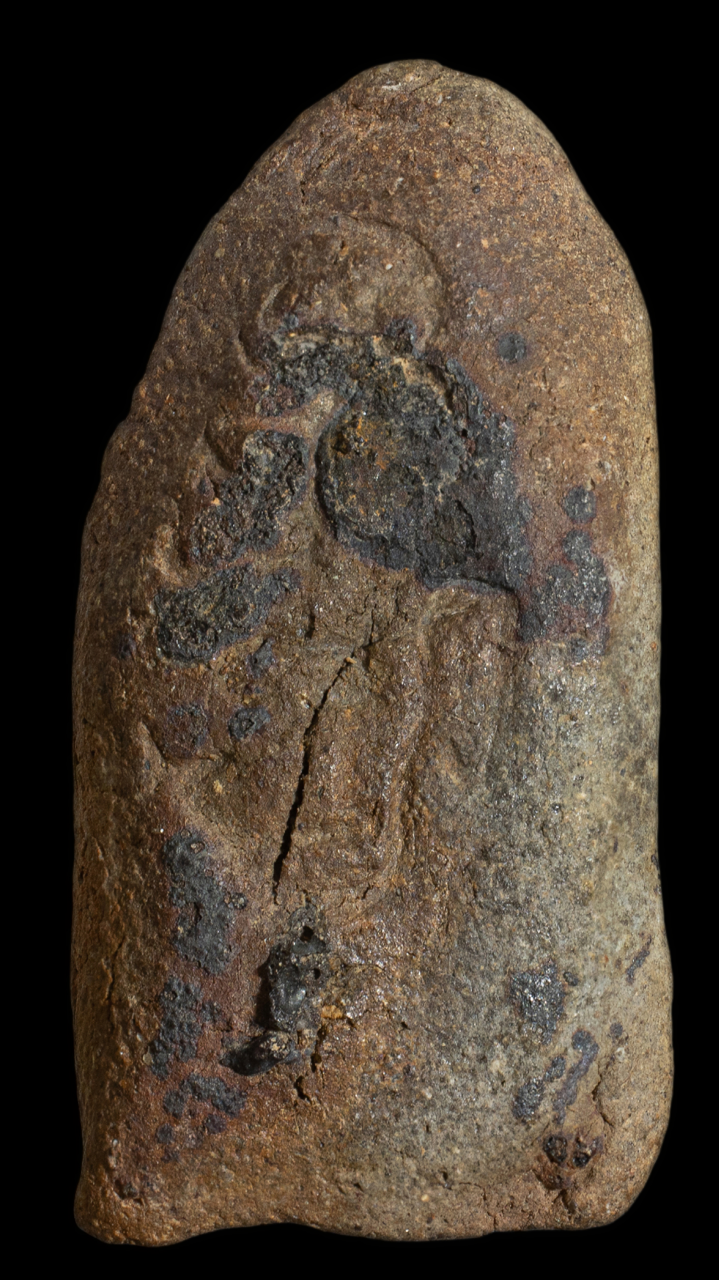 พระรอดพิมพ์ใหญ่ เนื้อดินผสมว่าน หลังยันต์ หลวงพ่อกวย ช่วงปี 2500