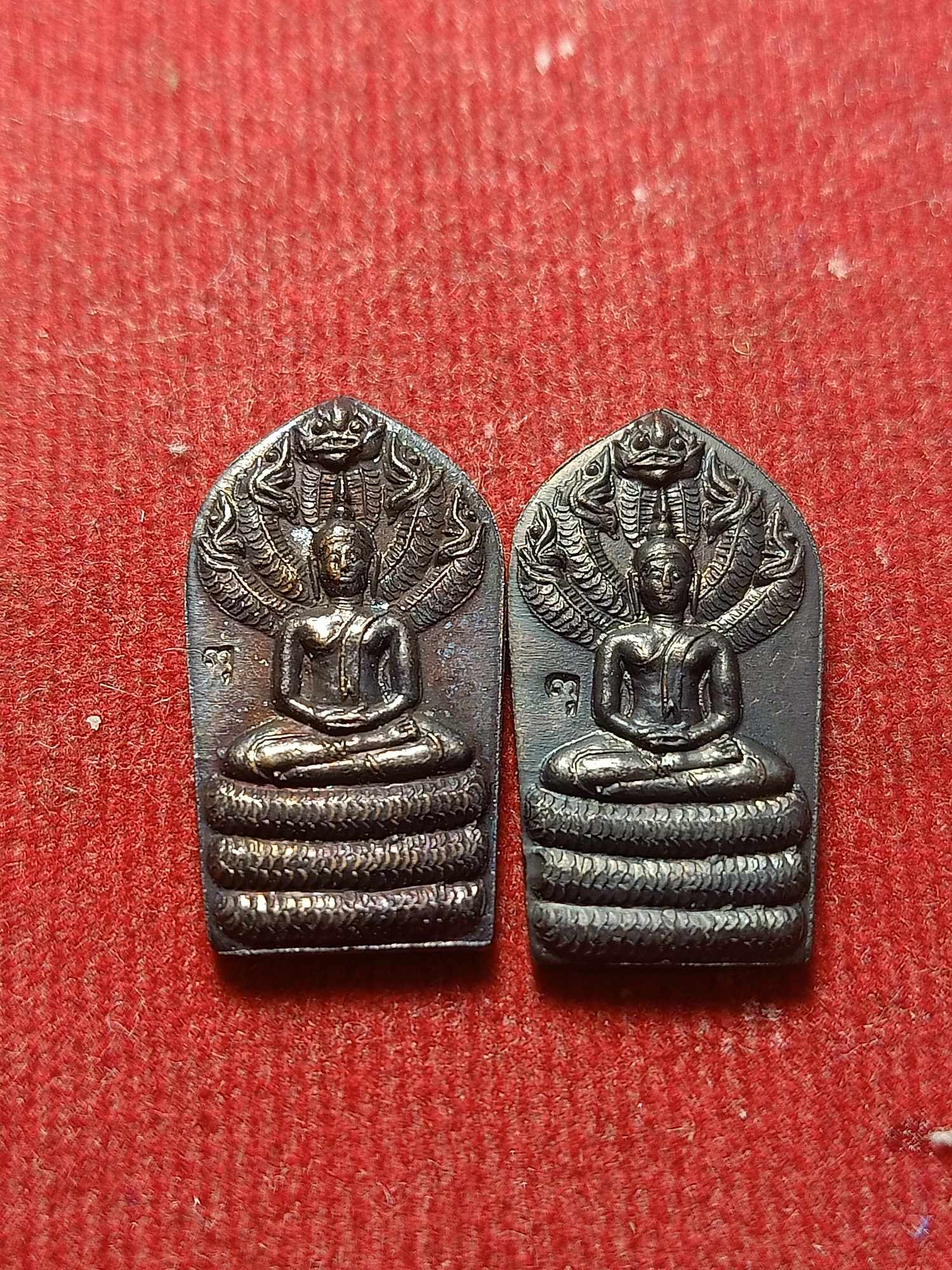 เหรียญปรกใบมะขามหลวงพ่อเปลี้ย วัดชอนสารเดช จ.ลพบุรี (SKU-04658)